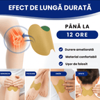 Set 40 plasturi cu pelin pentru dureri articulare si musculare